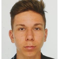 Attila ERGIR